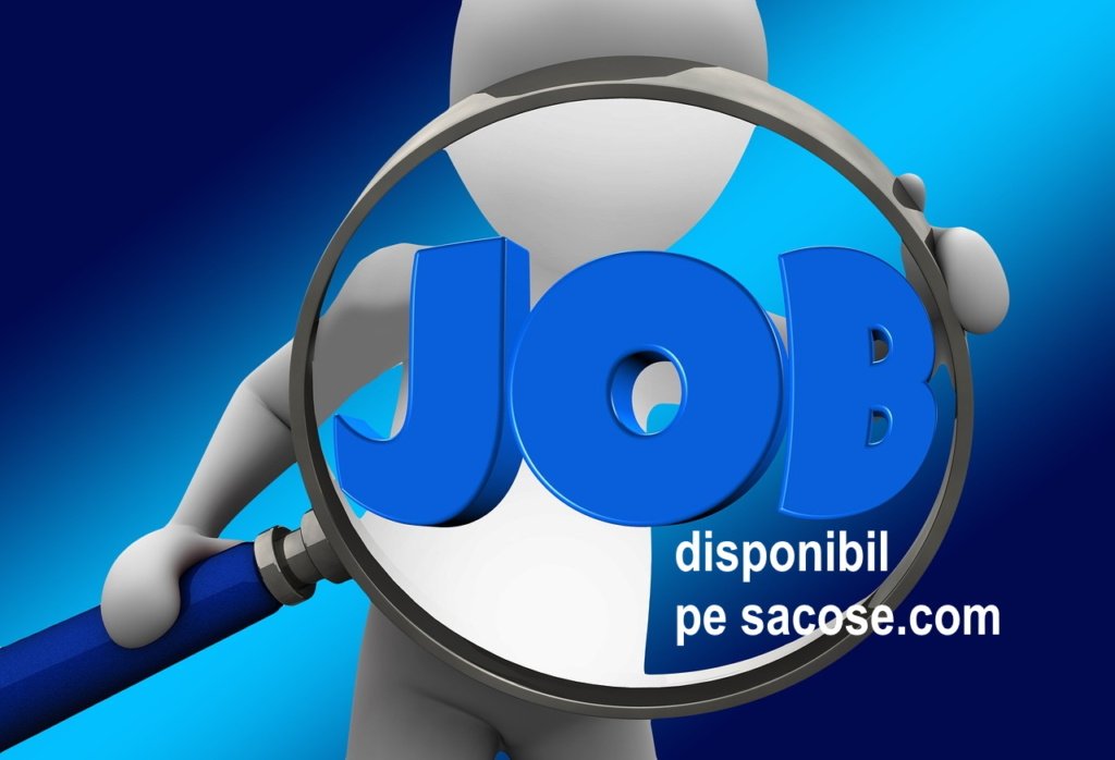 job asistent de vanzari pe sacose.com